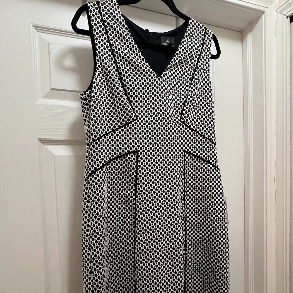 Adrianna Papell Black & White Dress